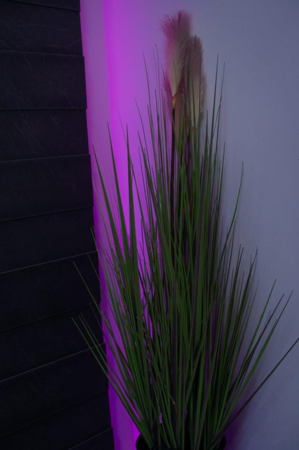 Apartman Mihovil Gospic Bagian luar foto